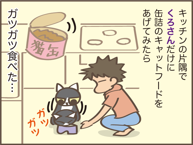 もっと早く気づければ...。我が家の高齢の猫だけ「ご飯が減らなくなった」原因は⁉／しまえもん（6）