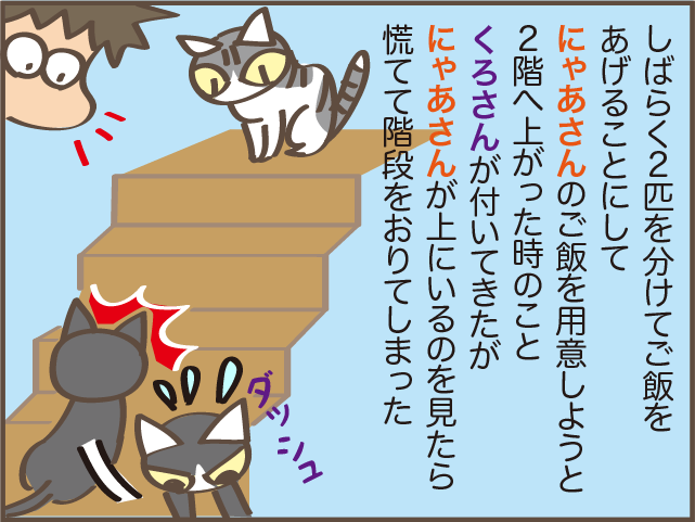 もっと早く気づければ...。我が家の高齢の猫だけ「ご飯が減らなくなった」原因は⁉／しまえもん（7）