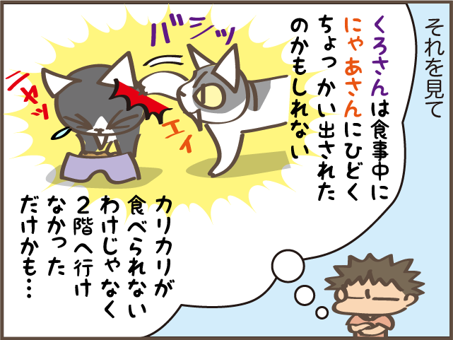 もっと早く気づければ...。我が家の高齢の猫だけ「ご飯が減らなくなった」原因は⁉／しまえもん（8）