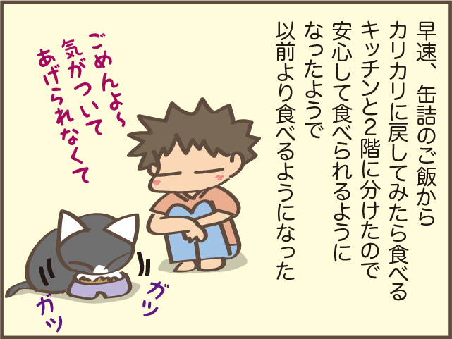 もっと早く気づければ...。我が家の高齢の猫だけ「ご飯が減らなくなった」原因は⁉／しまえもん（9）