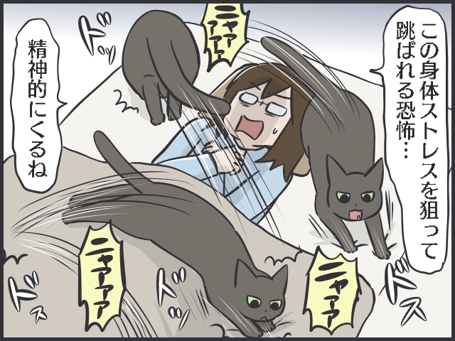 「重さ5㎏の物体」が身体の上を跳ぶ恐怖！　猫たちの「起きてアピール」の理由は...⁉／フニャコ（2）