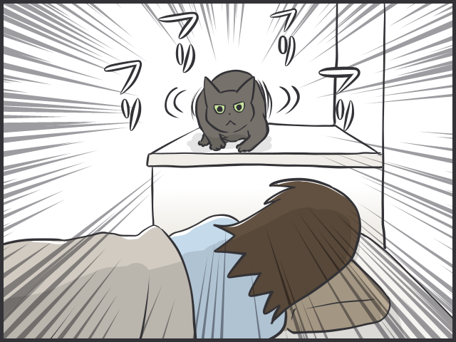「重さ5㎏の物体」が身体の上を跳ぶ恐怖！　猫たちの「起きてアピール」の理由は...⁉／フニャコ（4）