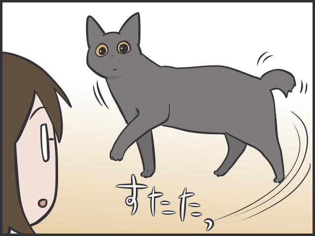 「重さ5㎏の物体」が身体の上を跳ぶ恐怖！　猫たちの「起きてアピール」の理由は...⁉／フニャコ（6）