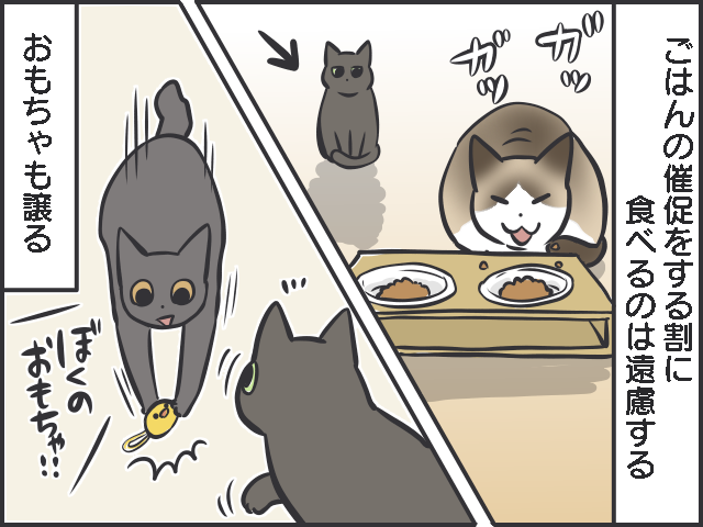 天真爛漫な子猫に比べ、不器用で控えめな「先輩猫」。「たまに甘える姿」がいじらしい...／フニャコ（2）