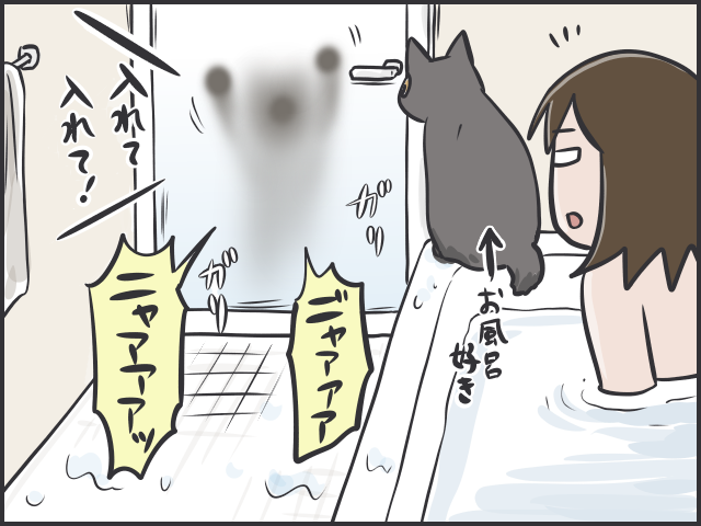 天真爛漫な子猫に比べ、不器用で控えめな「先輩猫」。「たまに甘える姿」がいじらしい...／フニャコ（4）