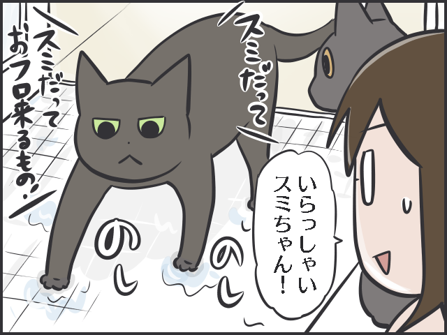 天真爛漫な子猫に比べ、不器用で控えめな「先輩猫」。「たまに甘える姿」がいじらしい...／フニャコ（5）