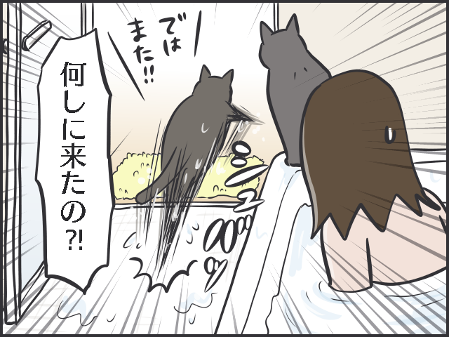 天真爛漫な子猫に比べ、不器用で控えめな「先輩猫」。「たまに甘える姿」がいじらしい...／フニャコ（7）