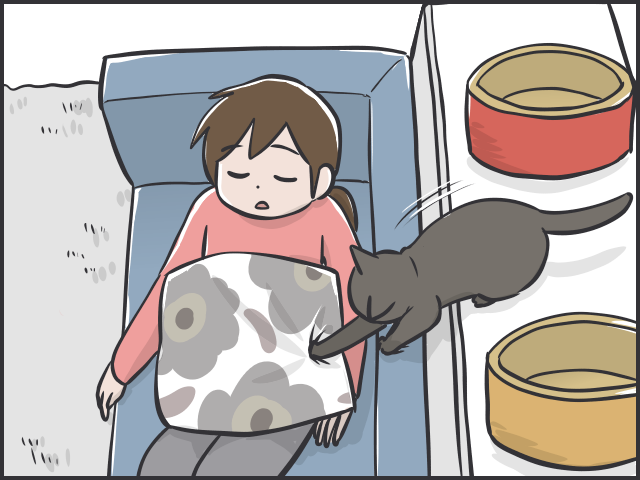 天真爛漫な子猫に比べ、不器用で控えめな「先輩猫」。「たまに甘える姿」がいじらしい...／フニャコ（9）