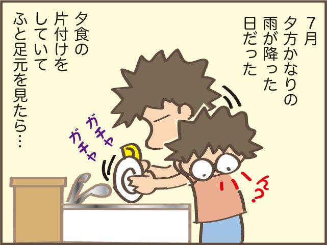 排水管から白っぽい塊が...！　思わずゾッとした、築16年の我が家の「シンクの水漏れ」奮闘記／しまえもん（3）