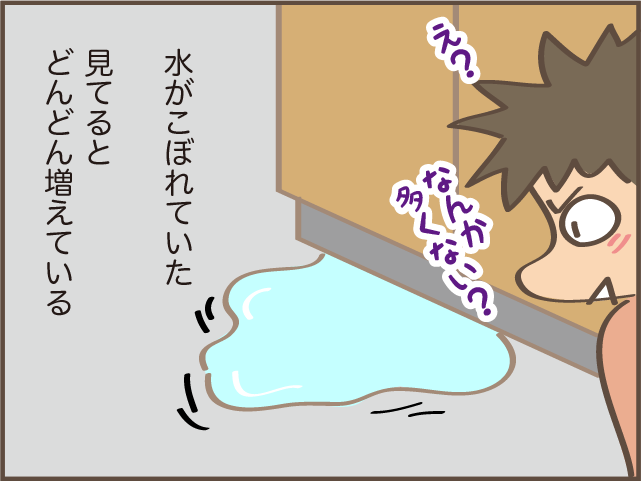 排水管から白っぽい塊が...！　思わずゾッとした、築16年の我が家の「シンクの水漏れ」奮闘記／しまえもん（4）
