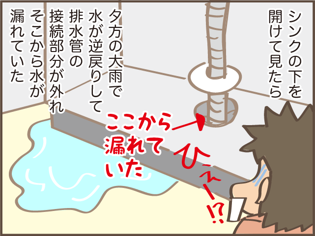 排水管から白っぽい塊が...！　思わずゾッとした、築16年の我が家の「シンクの水漏れ」奮闘記／しまえもん（5）
