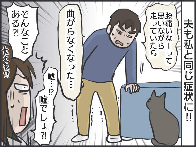 40代、膝が痛くて曲がらない！　果たして「しゃがまずに猫のお世話」はできるのか...!?／フニャコ（7）