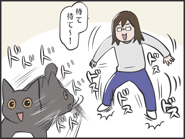 40代、膝が痛くて曲がらない！　果たして「しゃがまずに猫のお世話」はできるのか...!?／フニャコ（9）