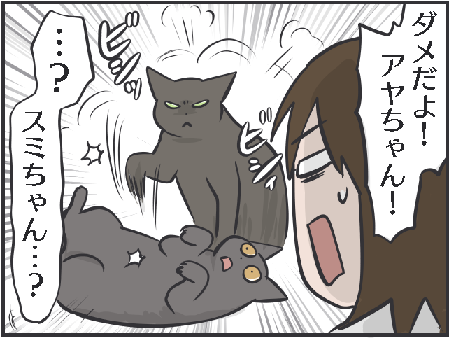 愛猫が初めて一緒の布団の中に...！　家に籠もりがちな日々、猫が癒しと元気の源に／フニャコ（8）