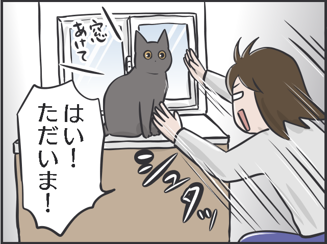 「下僕生活」は本望です！　「猫の希望」に応えることが私の幸せであり、癒しなのです／フニャコ（1）