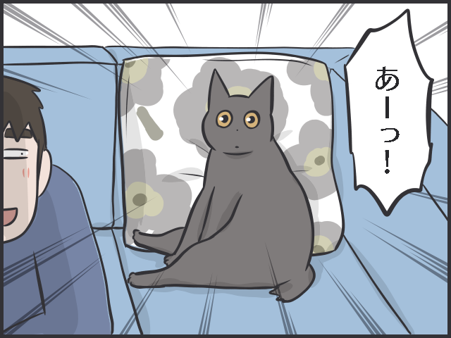 「下僕生活」は本望です！　「猫の希望」に応えることが私の幸せであり、癒しなのです／フニャコ（3）