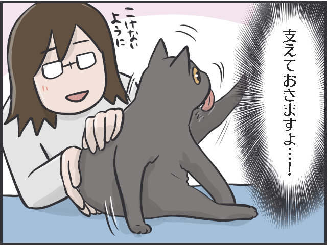 「下僕生活」は本望です！　「猫の希望」に応えることが私の幸せであり、癒しなのです／フニャコ（5）