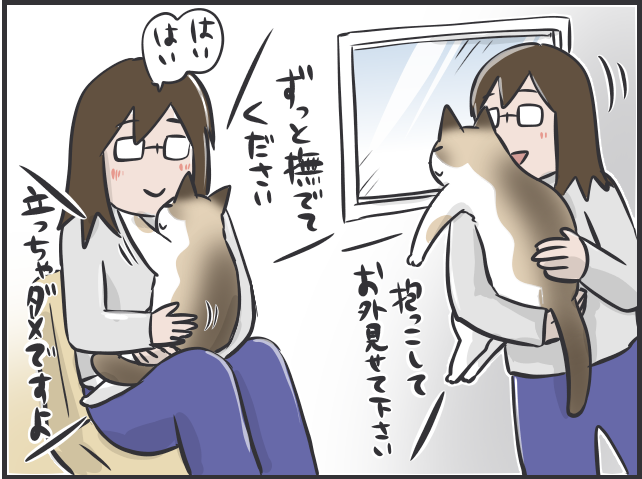「下僕生活」は本望です！　「猫の希望」に応えることが私の幸せであり、癒しなのです／フニャコ（8）