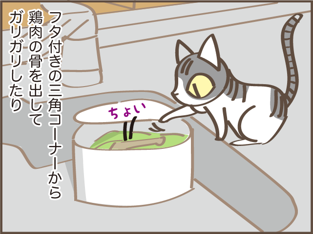 「にゃあさん、やめて！」猫がキッチンでゴミ箱あさり...我が家の対策は？／しまえもん（3）
