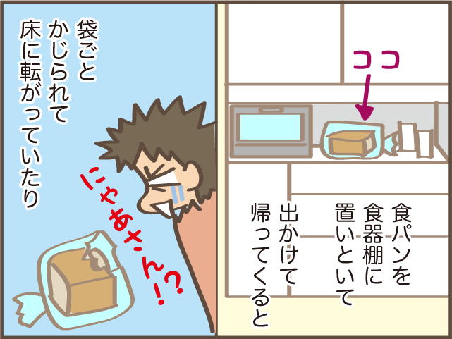 「にゃあさん、やめて！」猫がキッチンでゴミ箱あさり...我が家の対策は？／しまえもん（6）