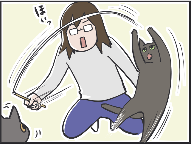 チラリズムの駆け引きが大好き！ 猫が夢中になる遊び方とは？／フニャコ（3）