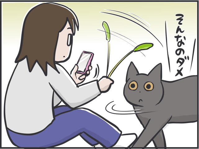 チラリズムの駆け引きが大好き！ 猫が夢中になる遊び方とは？／フニャコ（5）