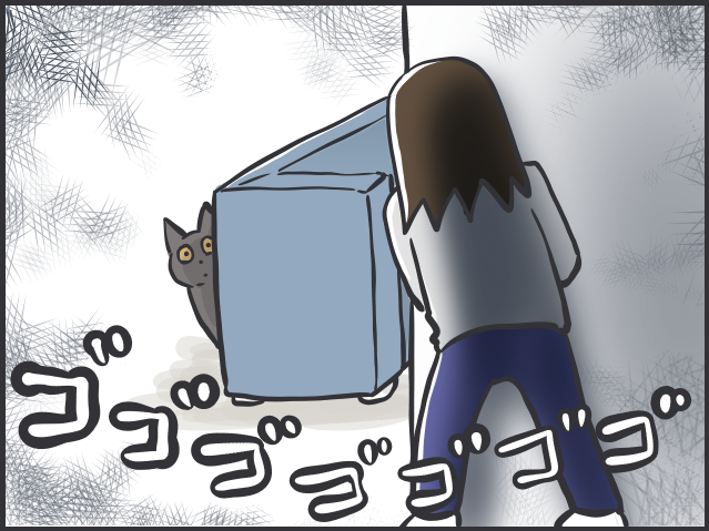 チラリズムの駆け引きが大好き！ 猫が夢中になる遊び方とは？／フニャコ（7）