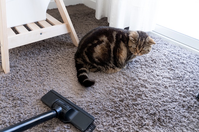 素敵な「ばぁば」になるために！　孫ができて「アラカンの私が変わった5つのこと」（3）