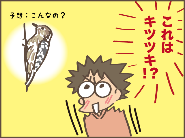 トントントン...耳が遠い父は気付かなかった！　実家の屋根裏に入り込んでいたのは...／しまえもん（5）