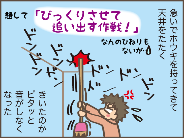 トントントン...耳が遠い父は気付かなかった！　実家の屋根裏に入り込んでいたのは...／しまえもん（6）