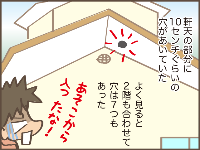 トントントン...耳が遠い父は気付かなかった！　実家の屋根裏に入り込んでいたのは...／しまえもん（8）