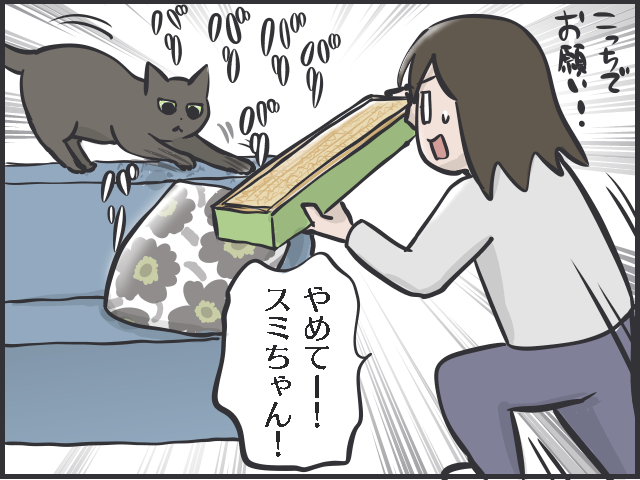 コロナ禍で猫を飼う人が増えている!? 「かわいい」だけじゃない猫と暮らす現実とは／フニャコ（5）