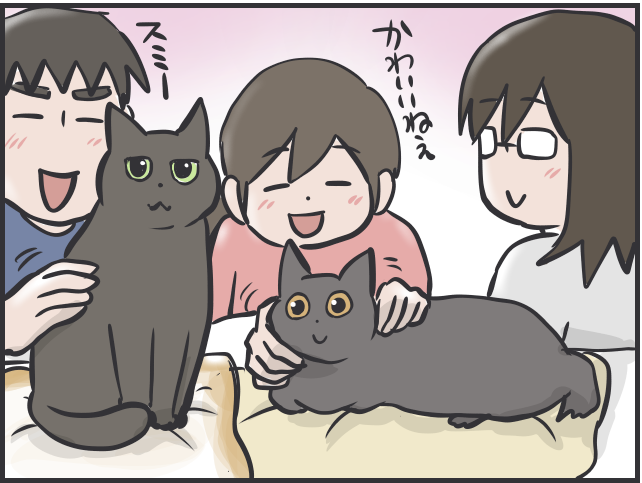 コロナ禍で猫を飼う人が増えている!? 「かわいい」だけじゃない猫と暮らす現実とは／フニャコ（7）