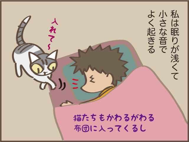 「なんとか熟睡したい！」スーパーで見つけた眠りの浅い私の救世主!?／しまえもん（2）