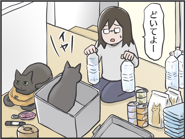 災害が起きたとき猫との避難はどうなる？ 猫と防災について考えた／フニャコ（3）