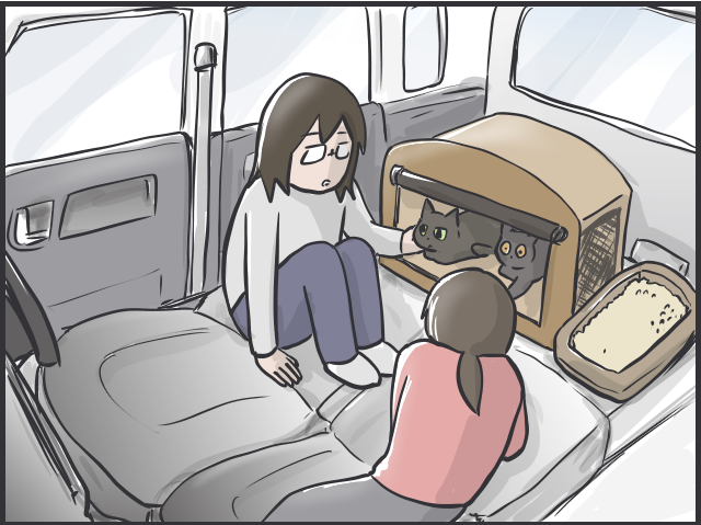 災害が起きたとき猫との避難はどうなる？ 猫と防災について考えた／フニャコ（4）