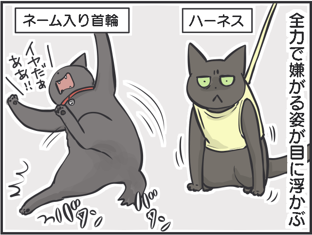 災害が起きたとき猫との避難はどうなる？ 猫と防災について考えた／フニャコ（5）