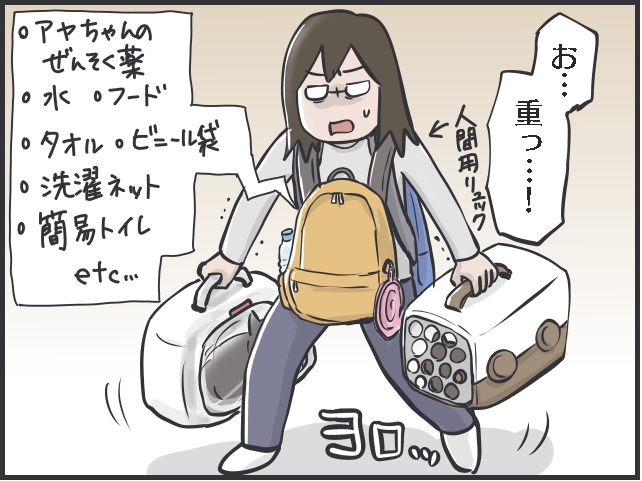 災害が起きたとき猫との避難はどうなる？ 猫と防災について考えた／フニャコ（6）