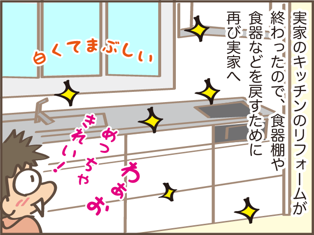 実家キッチンのリフォーム後の作業をしながら思った、コロナ禍で会えない年子の妹のこと／しまえもん（2）