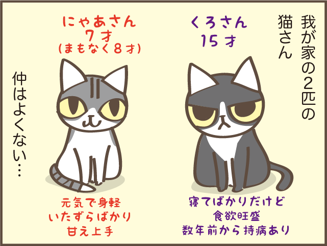立場が逆転！ 猫の上下関係は体の大きさでコロコロ変わる？／しまえもん（2）