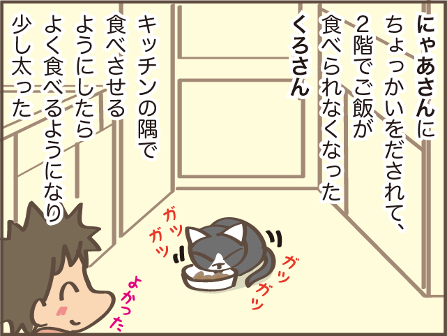 立場が逆転！ 猫の上下関係は体の大きさでコロコロ変わる？／しまえもん（3）