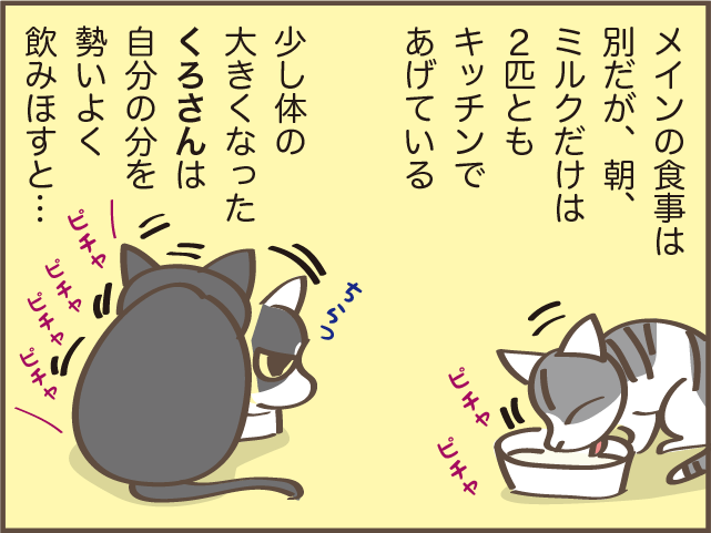 立場が逆転！ 猫の上下関係は体の大きさでコロコロ変わる？／しまえもん（4）