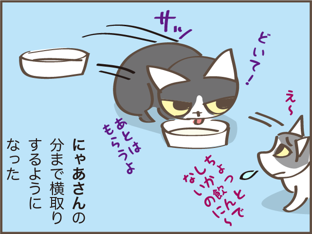 立場が逆転！ 猫の上下関係は体の大きさでコロコロ変わる？／しまえもん（5）
