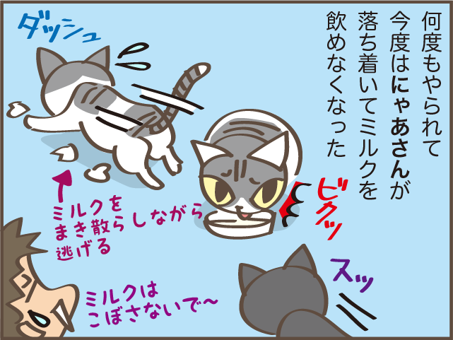 立場が逆転！ 猫の上下関係は体の大きさでコロコロ変わる？／しまえもん（6）