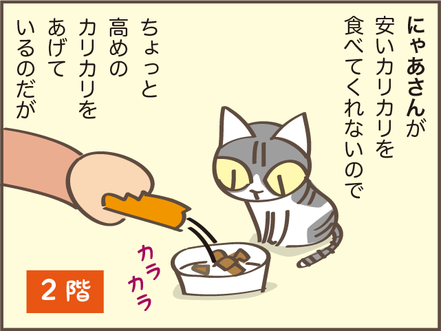 立場が逆転！ 猫の上下関係は体の大きさでコロコロ変わる？／しまえもん（7）