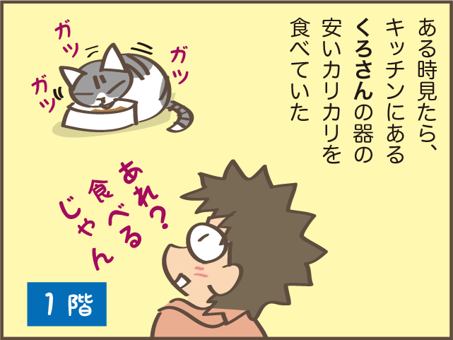 立場が逆転！ 猫の上下関係は体の大きさでコロコロ変わる？／しまえもん（8）