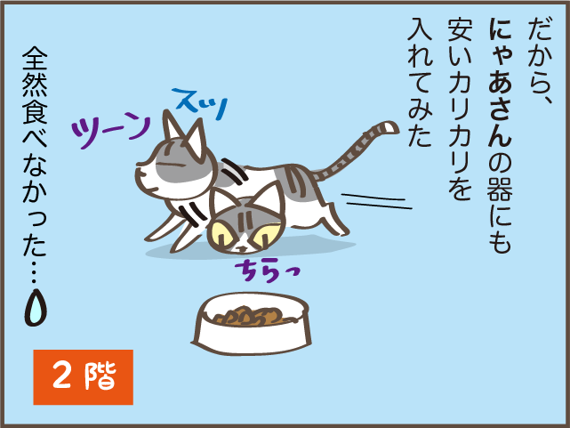 立場が逆転！ 猫の上下関係は体の大きさでコロコロ変わる？／しまえもん（9）