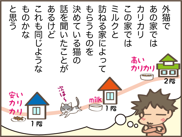 立場が逆転！ 猫の上下関係は体の大きさでコロコロ変わる？／しまえもん（10）