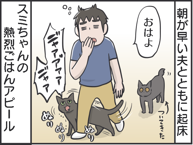 君たちは自由だな！ 甘える、ごはん、寝る、ストーカーになる...猫たちのスケジュール／フニャコ（2）