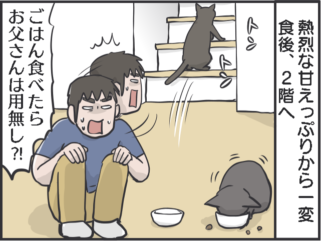 君たちは自由だな！ 甘える、ごはん、寝る、ストーカーになる...猫たちのスケジュール／フニャコ（3）